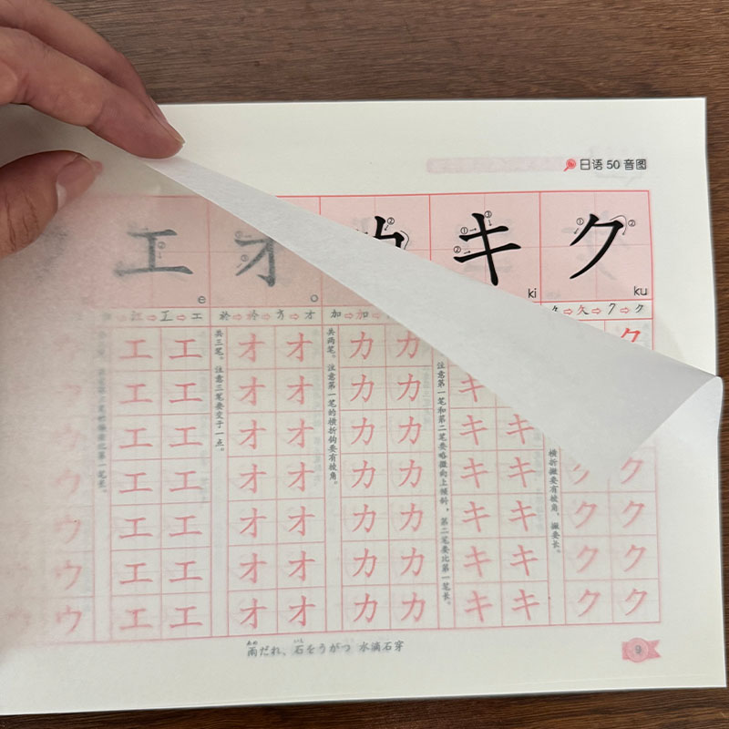 Cuaderno de Práctica de Escrit - Chinese Calligraphy Practice Book reseña y precio